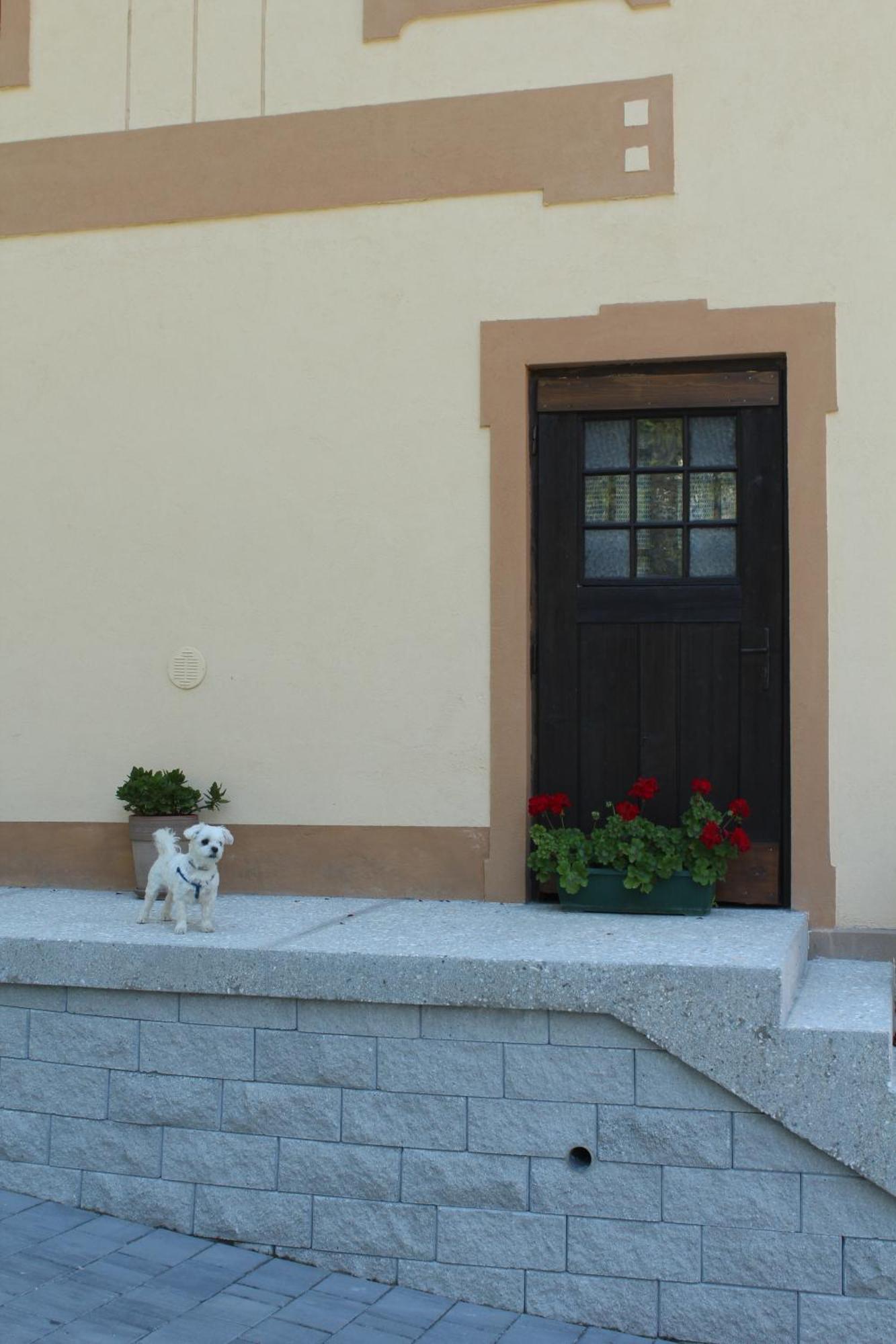 Hadam'S Apartments Bled Exterior foto